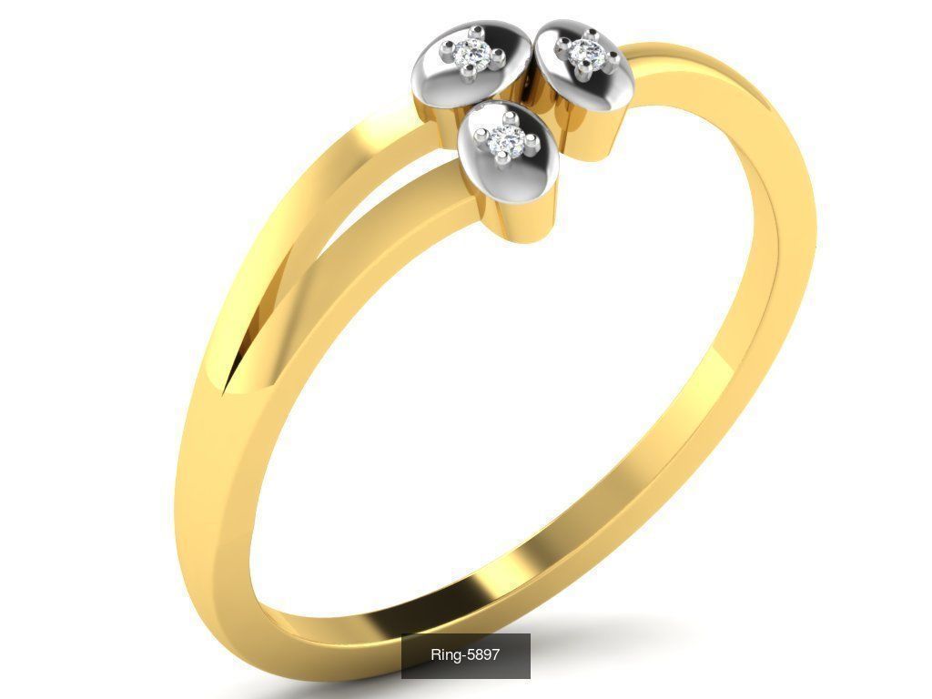 355 Light wt rings  3D Model Collection_101