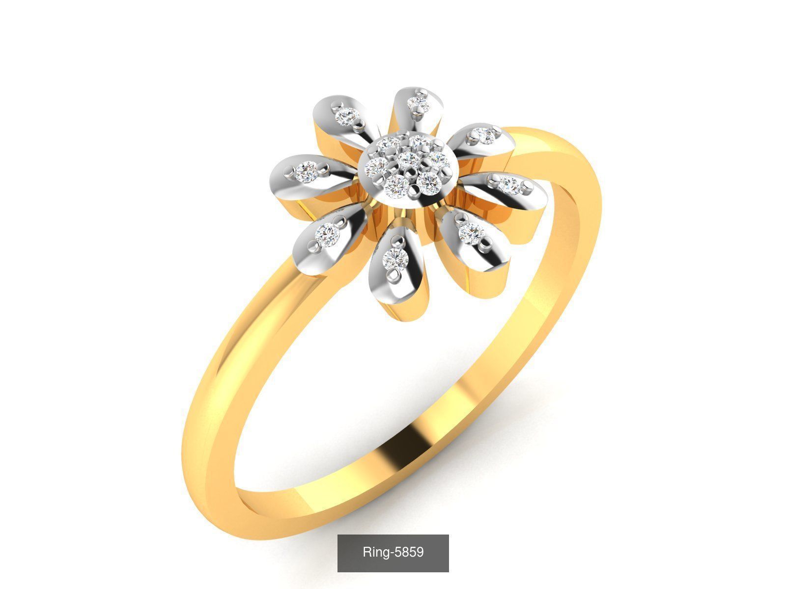 355 Light wt rings  3D Model Collection_114
