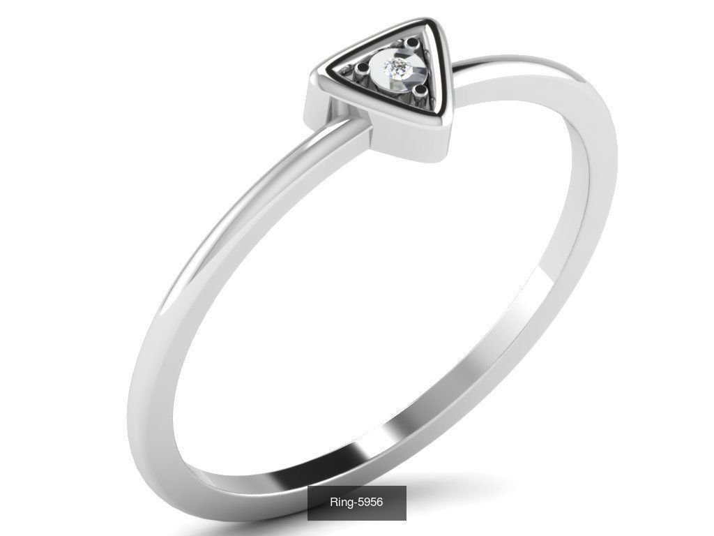 355 Light wt rings  3D Model Collection_84