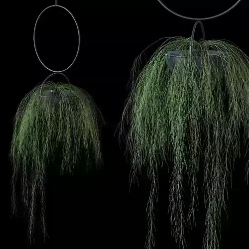 Plant in a hanging planter BLUMENKUGEL EDITION