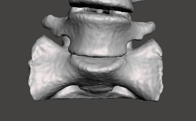 Human Lumbar Vertebrae   - male 3D model_12