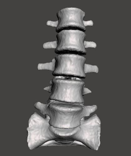 Human Lumbar Vertebrae   - male 3D model_11