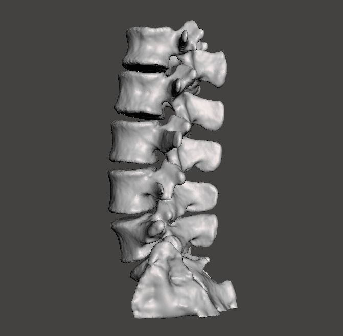 Human Lumbar Vertebrae   - male 3D model_1