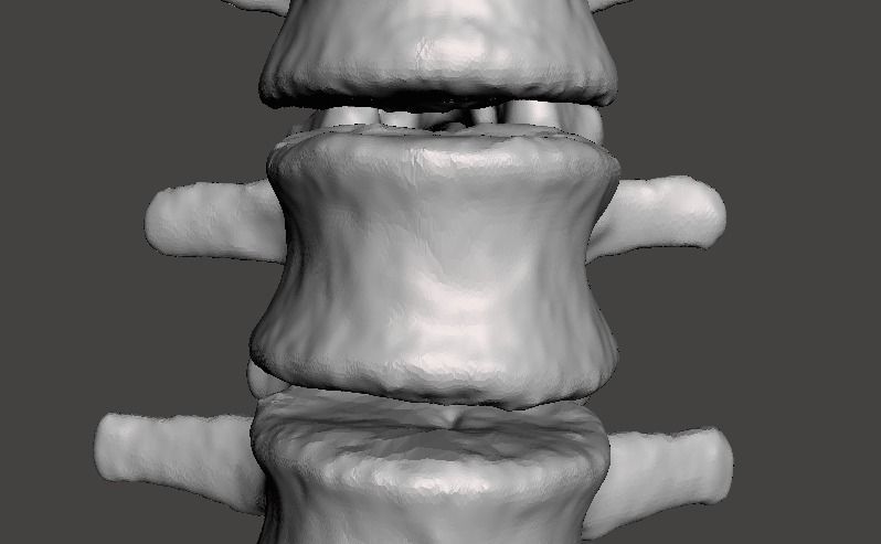 Human Lumbar Vertebrae   - male 3D model_15