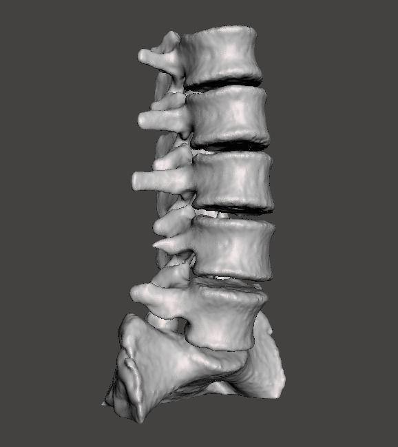 Human Lumbar Vertebrae   - male 3D model_0