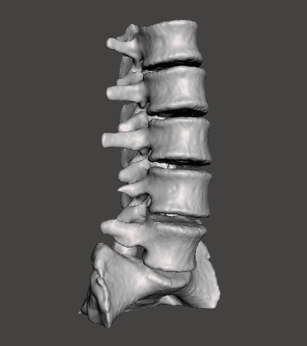 Human Lumbar Vertebrae   - male 3D model