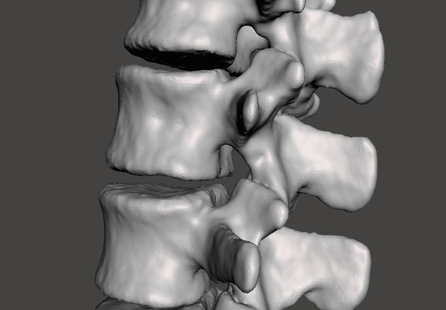 Human Lumbar Vertebrae   - male 3D model_14