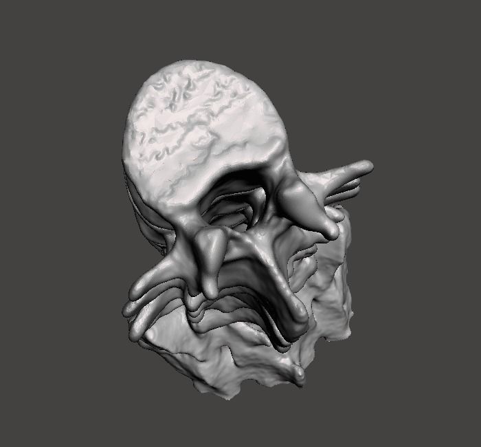 Human Lumbar Vertebrae   - male 3D model_4