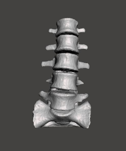 Human Lumbar Vertebrae   - male 3D model_7