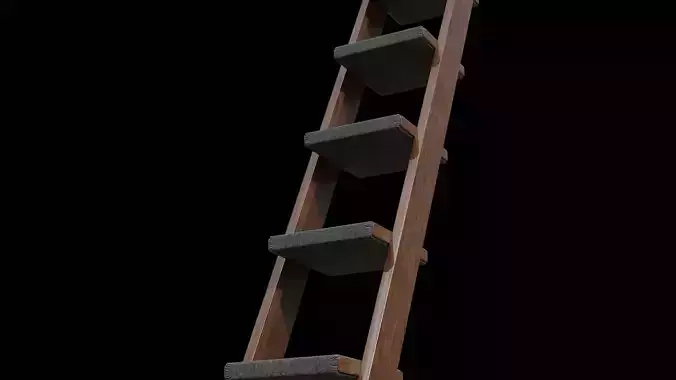 7-Step walnut Ladder