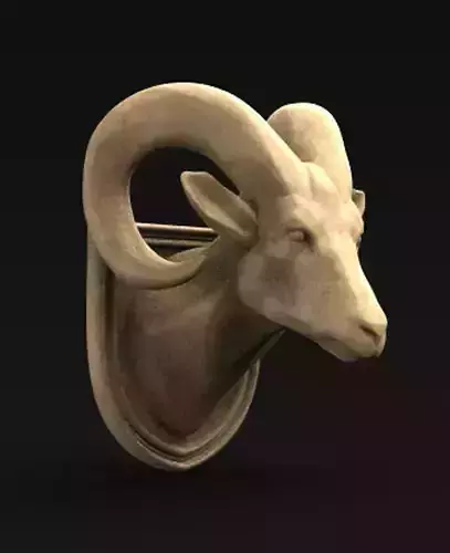 Ram Head 2