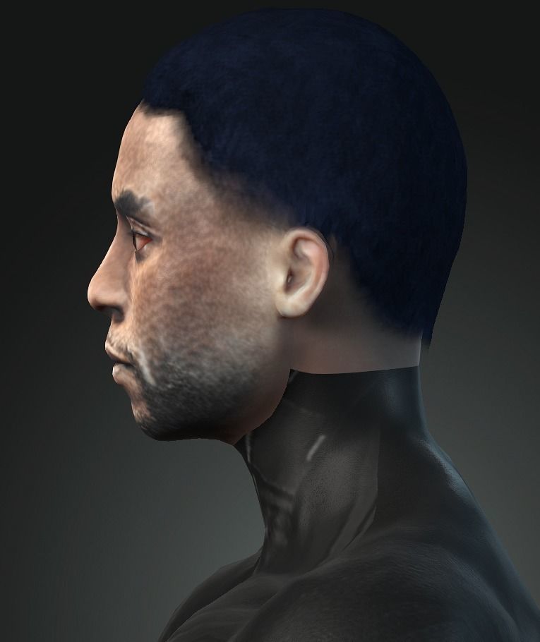 Black Panther - Chadwick Boseman Full Rigged with Face Rig 3D model_2