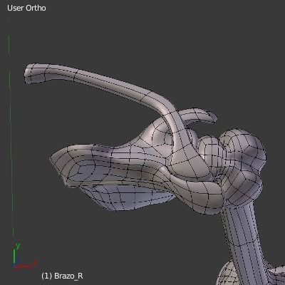 skeleton arm Brazo esqueleto