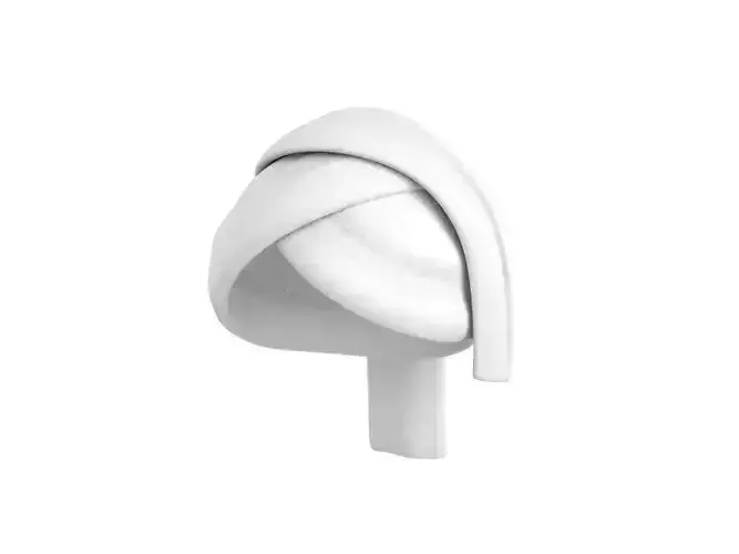 Towel Hat 3D model