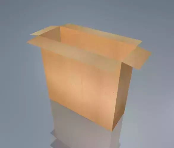 3D CardBoard Box