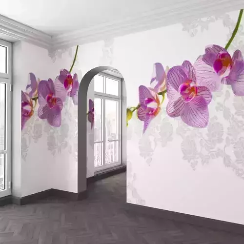 WallDeco-Gio Pagani-var-48