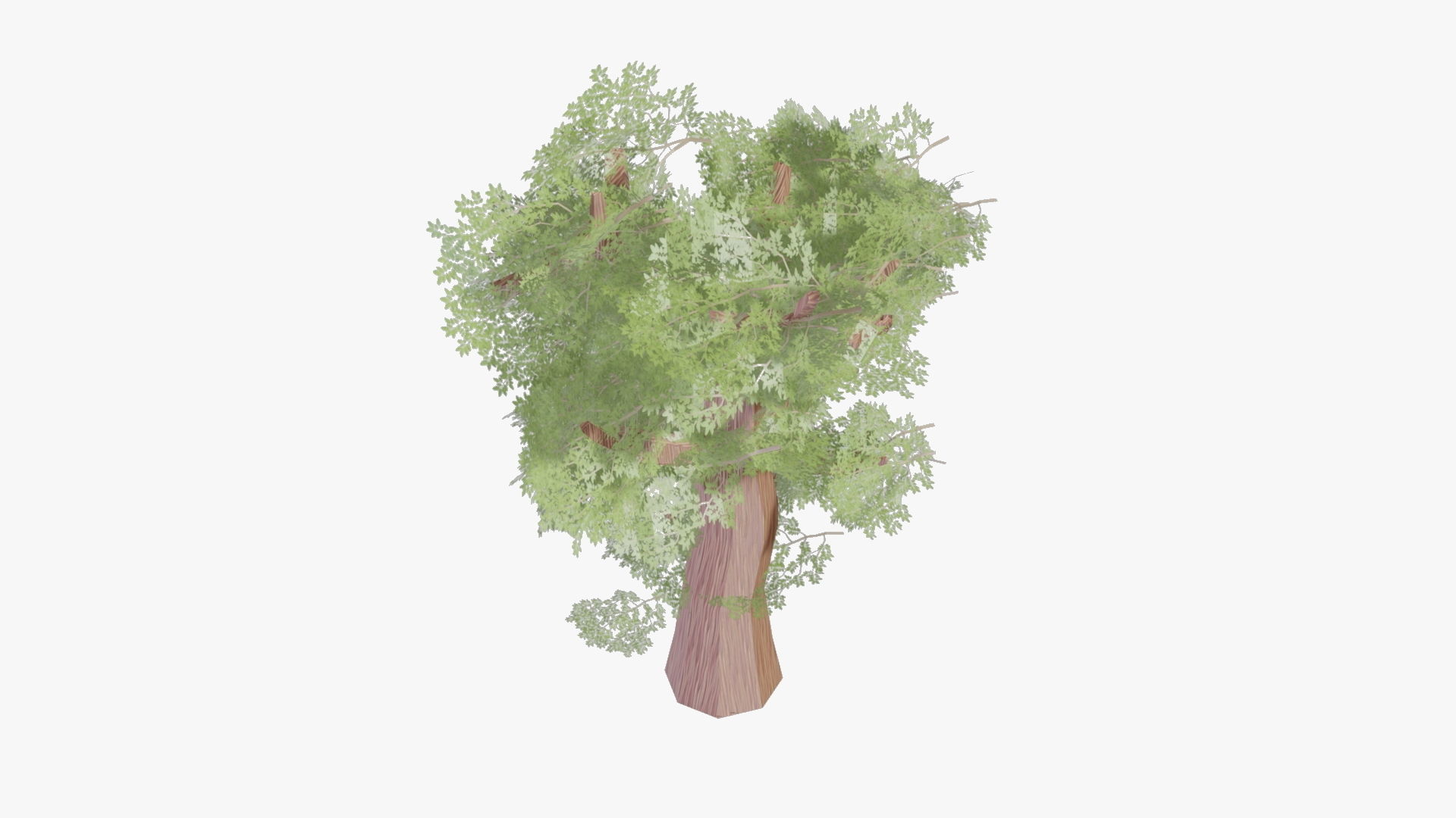 Variation 1 - Low Poly Big Tree 3D model_3