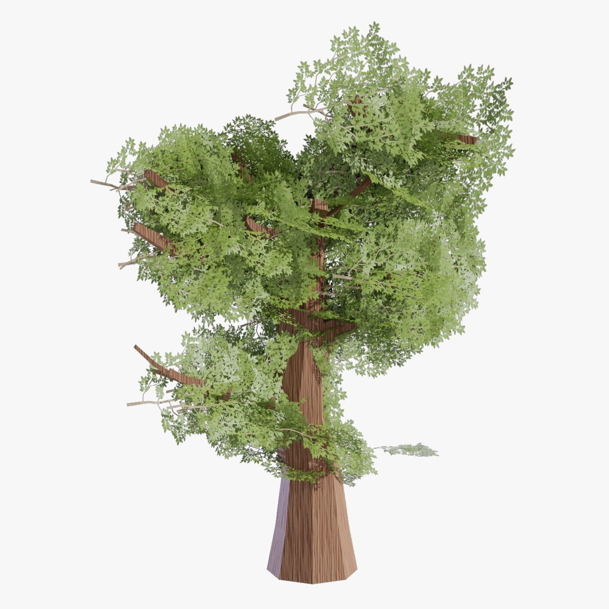 Variation 1 - Low Poly Big Tree 3D model_5