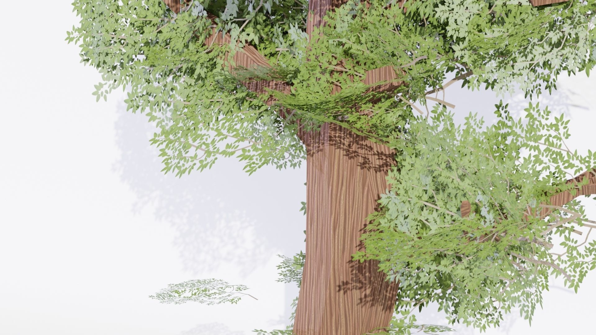 Variation 1 - Low Poly Big Tree 3D model_2