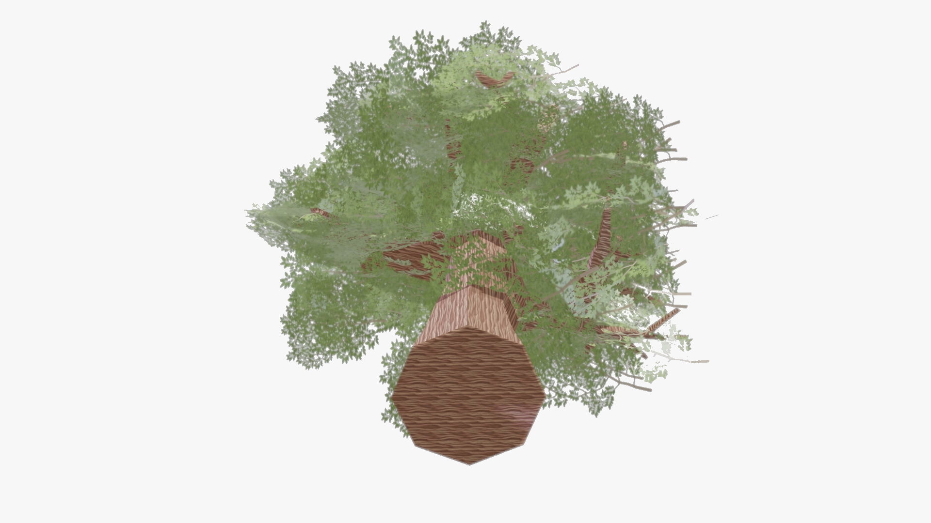 Variation 1 - Low Poly Big Tree 3D model_4