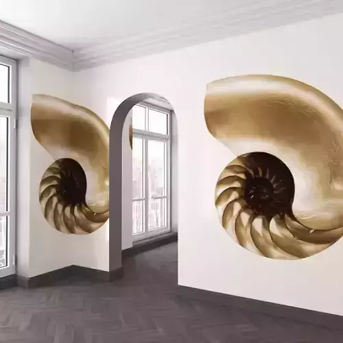 WallDeco-Life-var-116 room with wall mural of nautilus shell 3D model