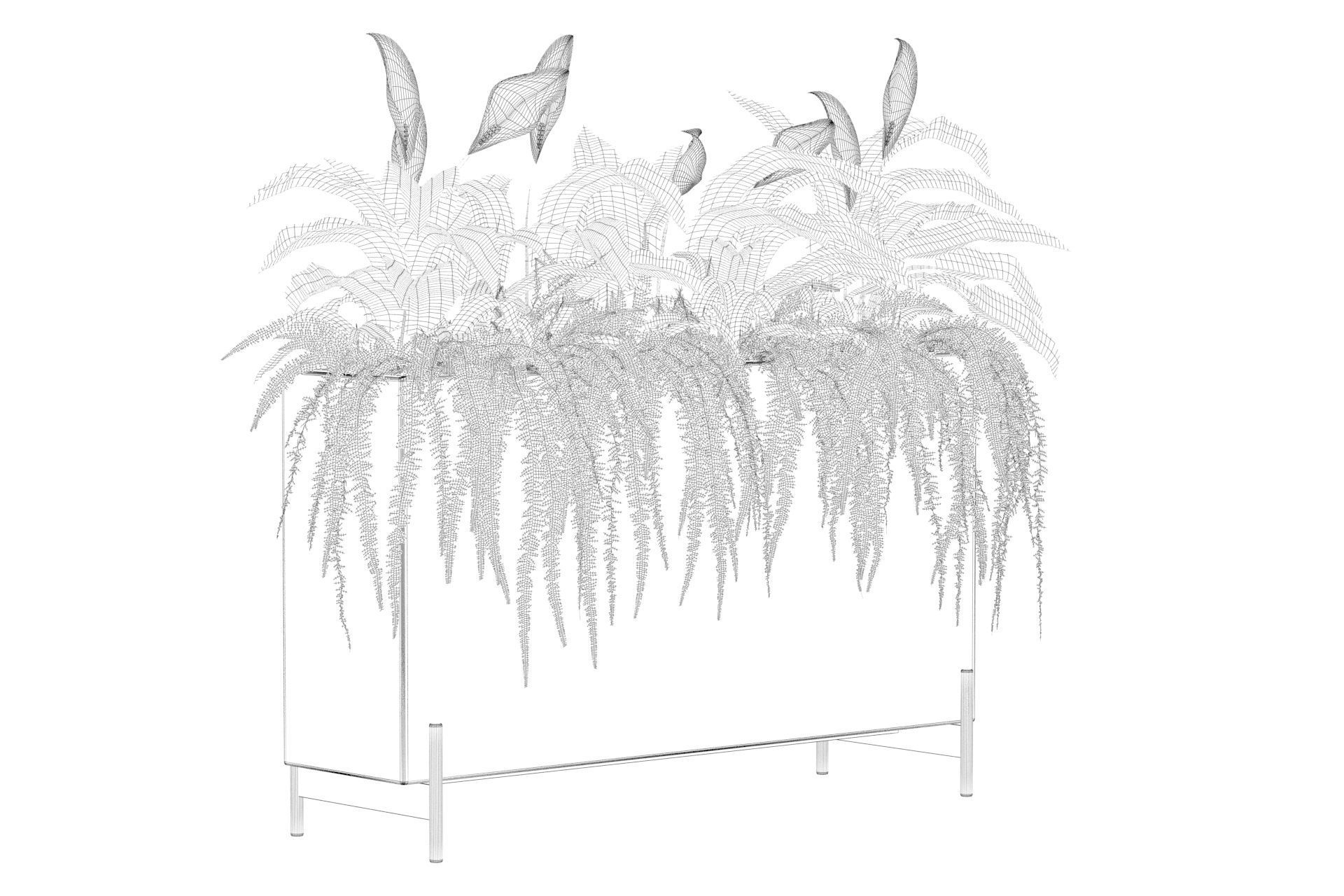 office plants 3D model_47