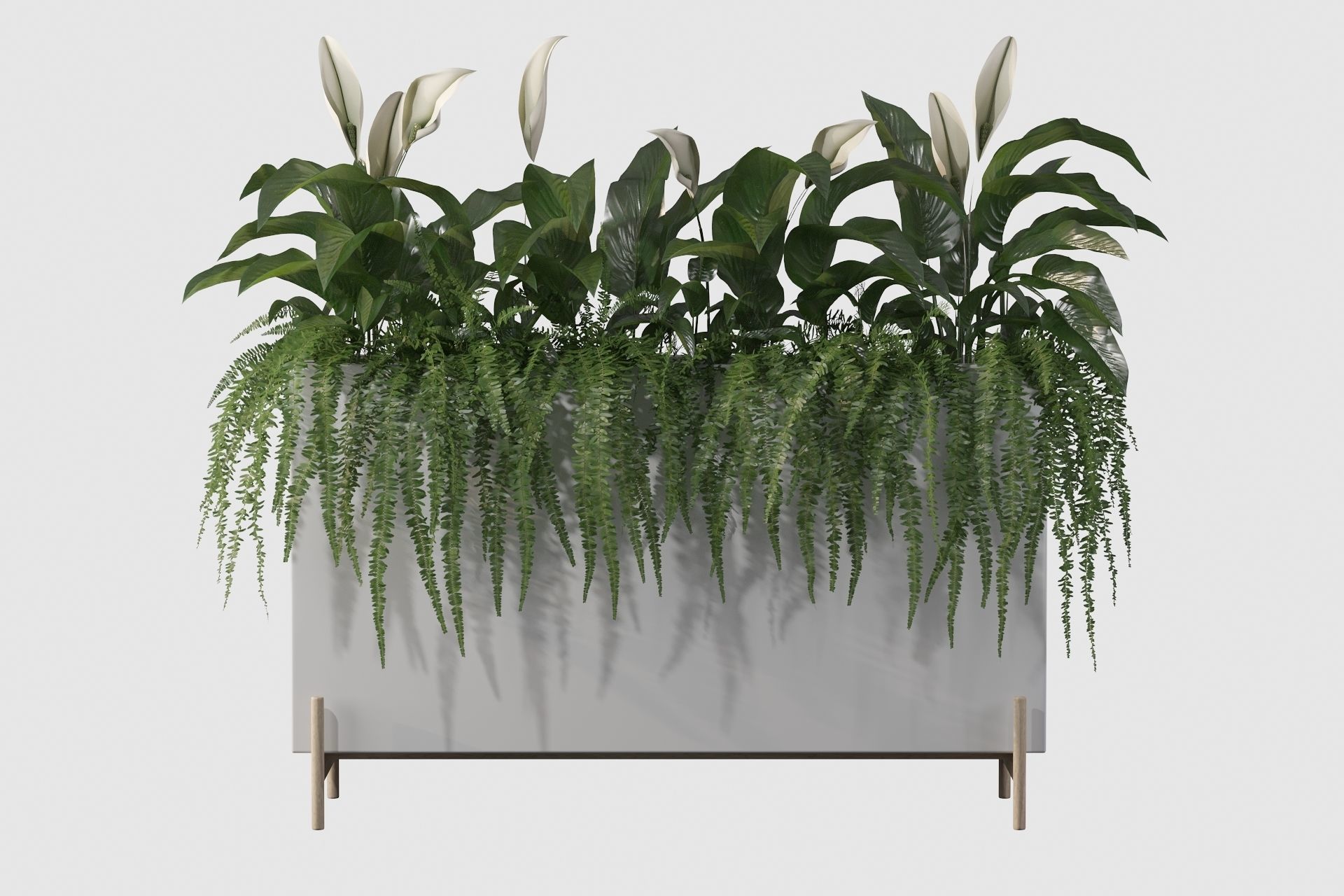office plants 3D model_44