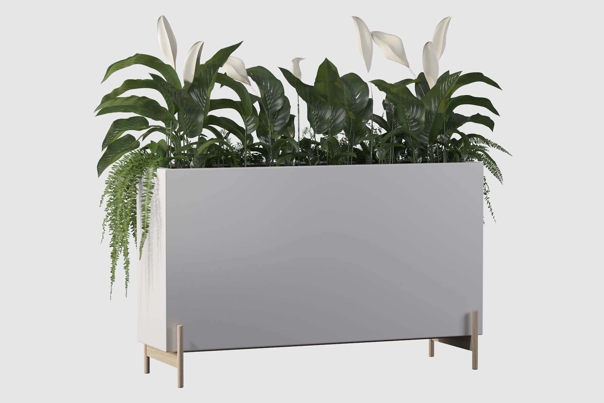 office plants 3D model_11