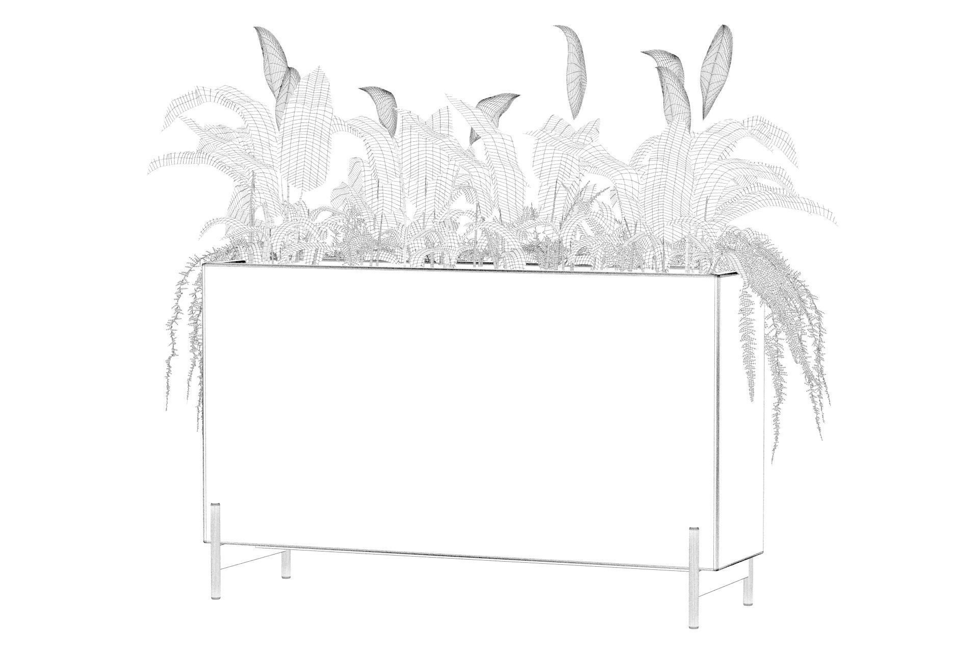 office plants 3D model_49