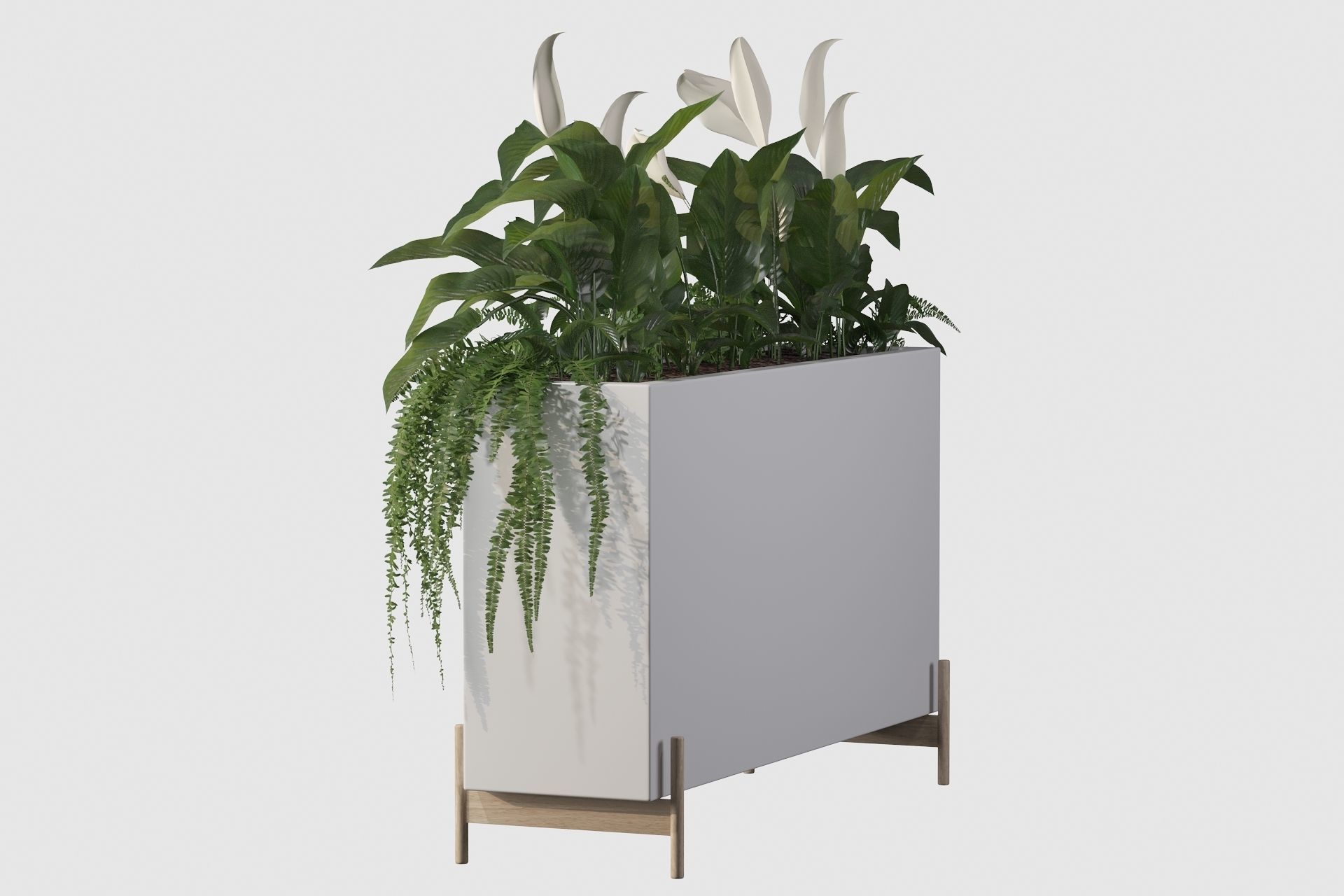 office plants 3D model_34