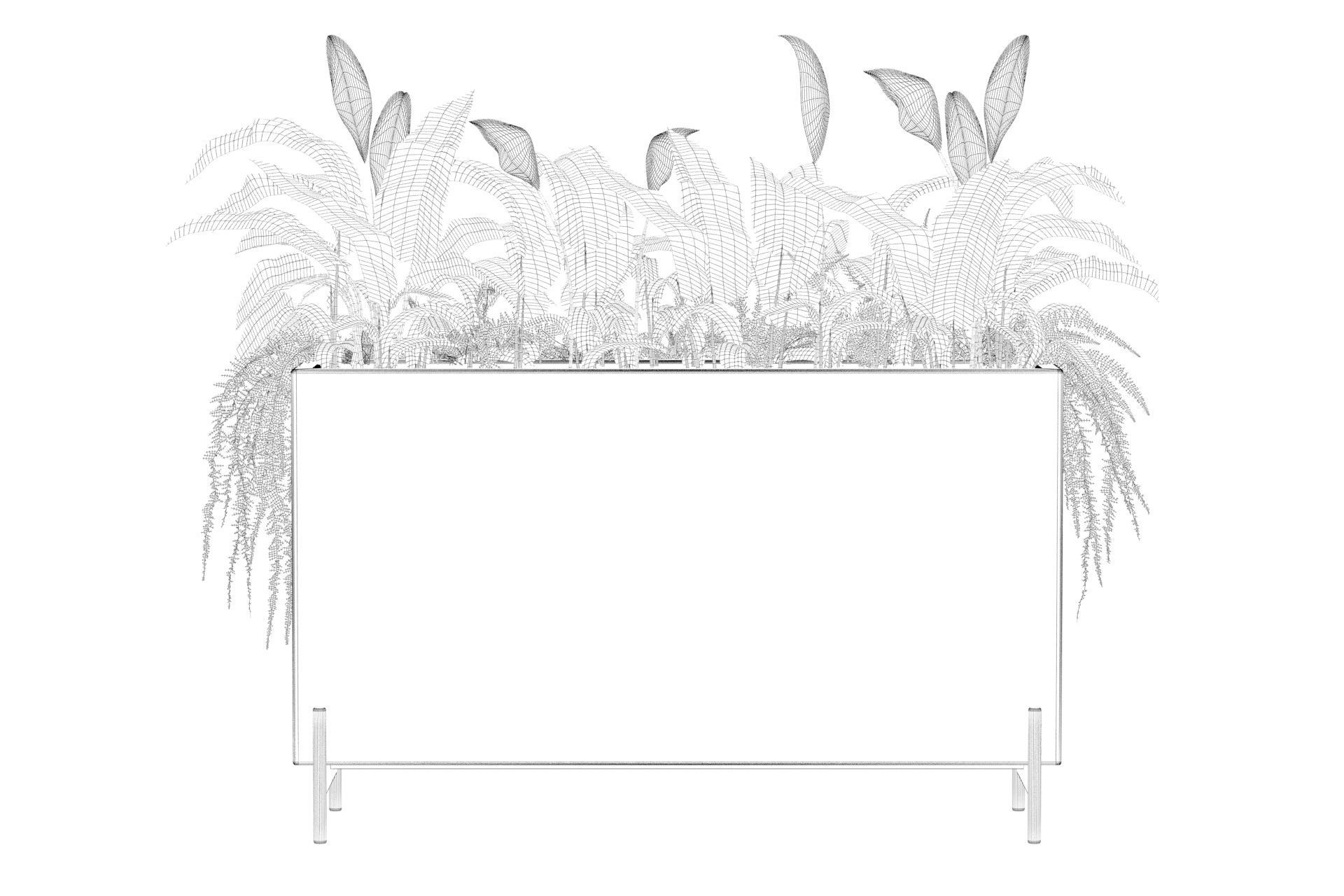 office plants 3D model_57