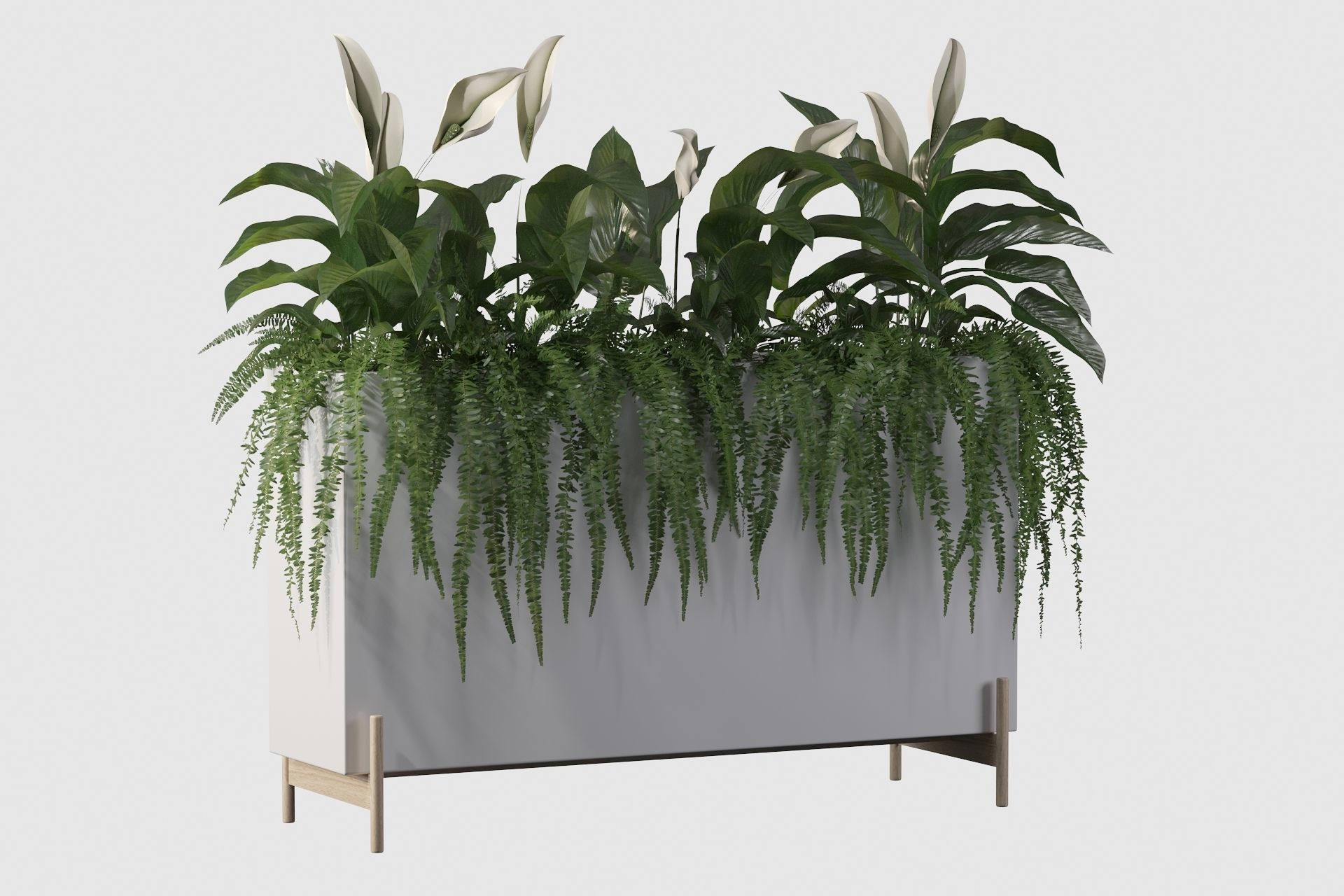 office plants 3D model_23