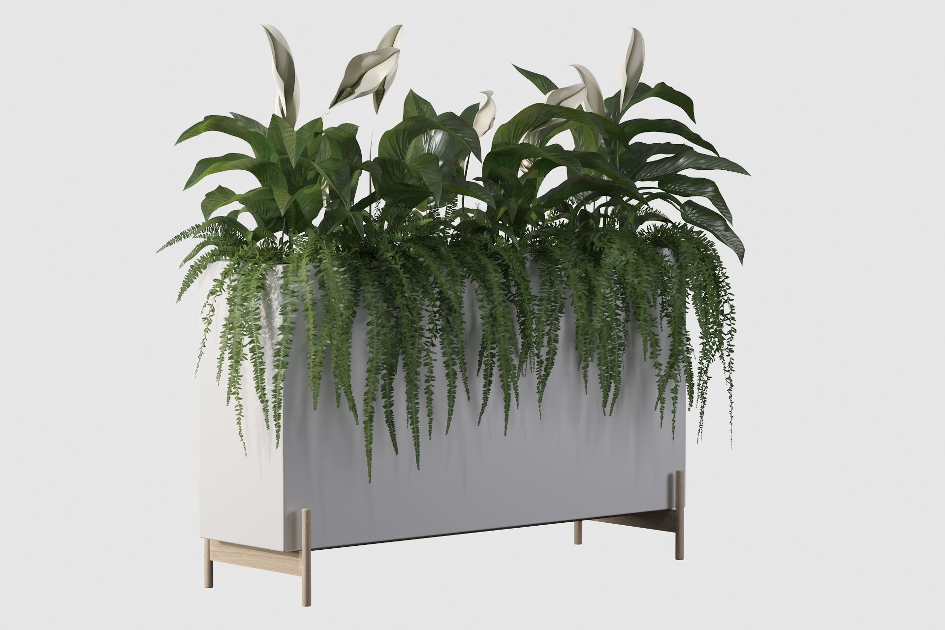 office plants 3D model_9