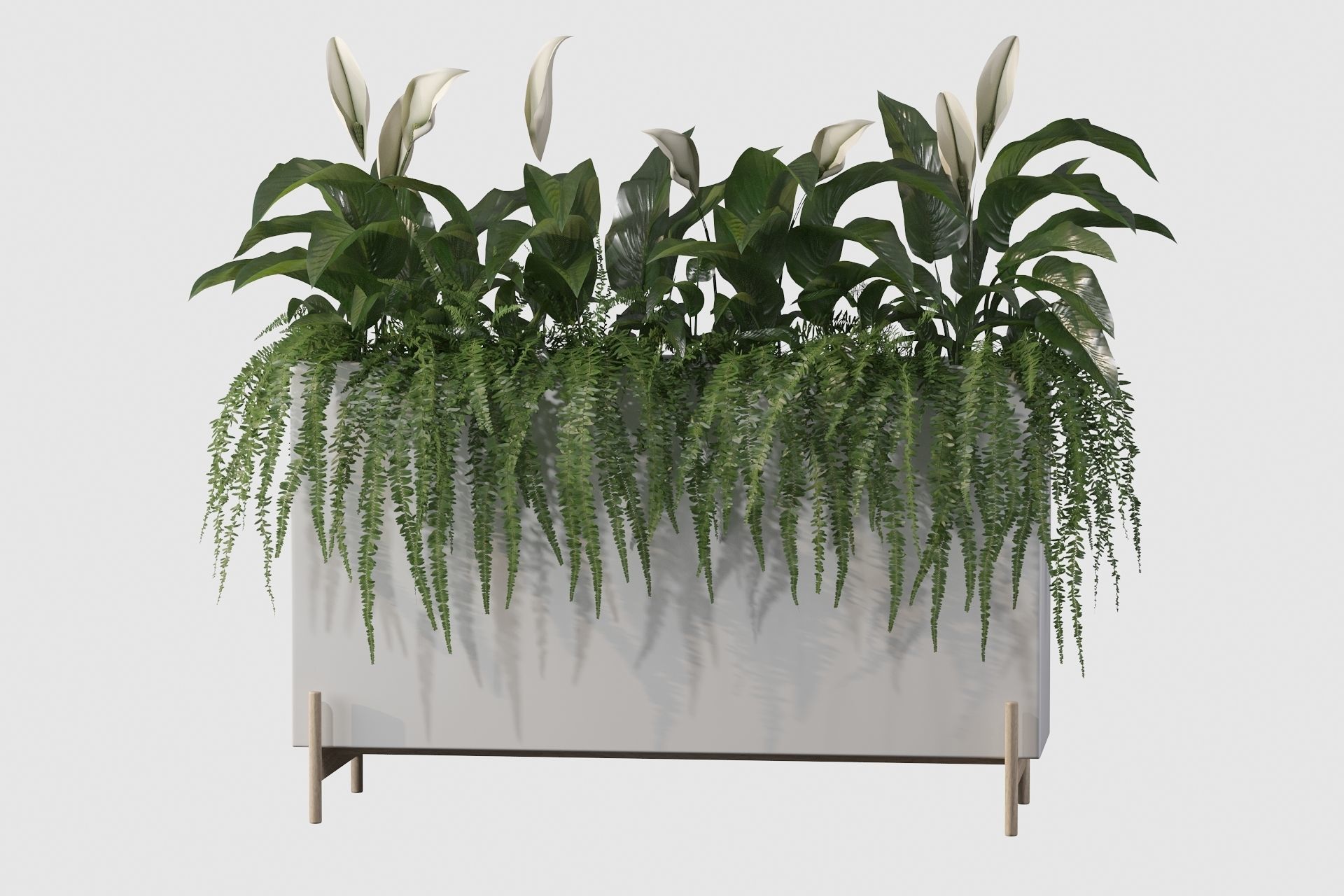 office plants 3D model_41