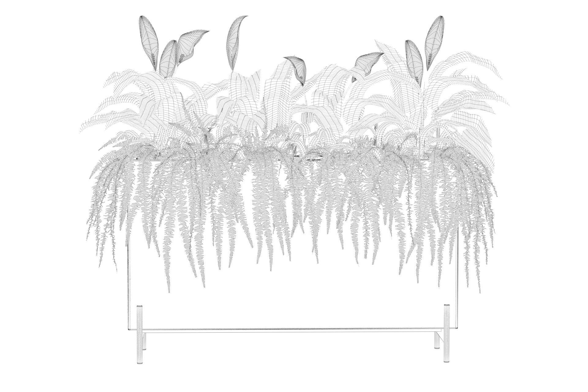 office plants 3D model_63