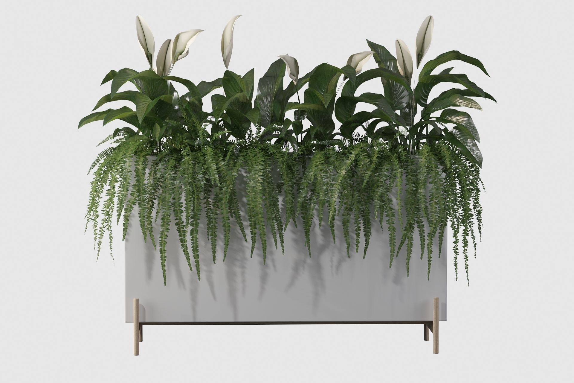 office plants 3D model_22