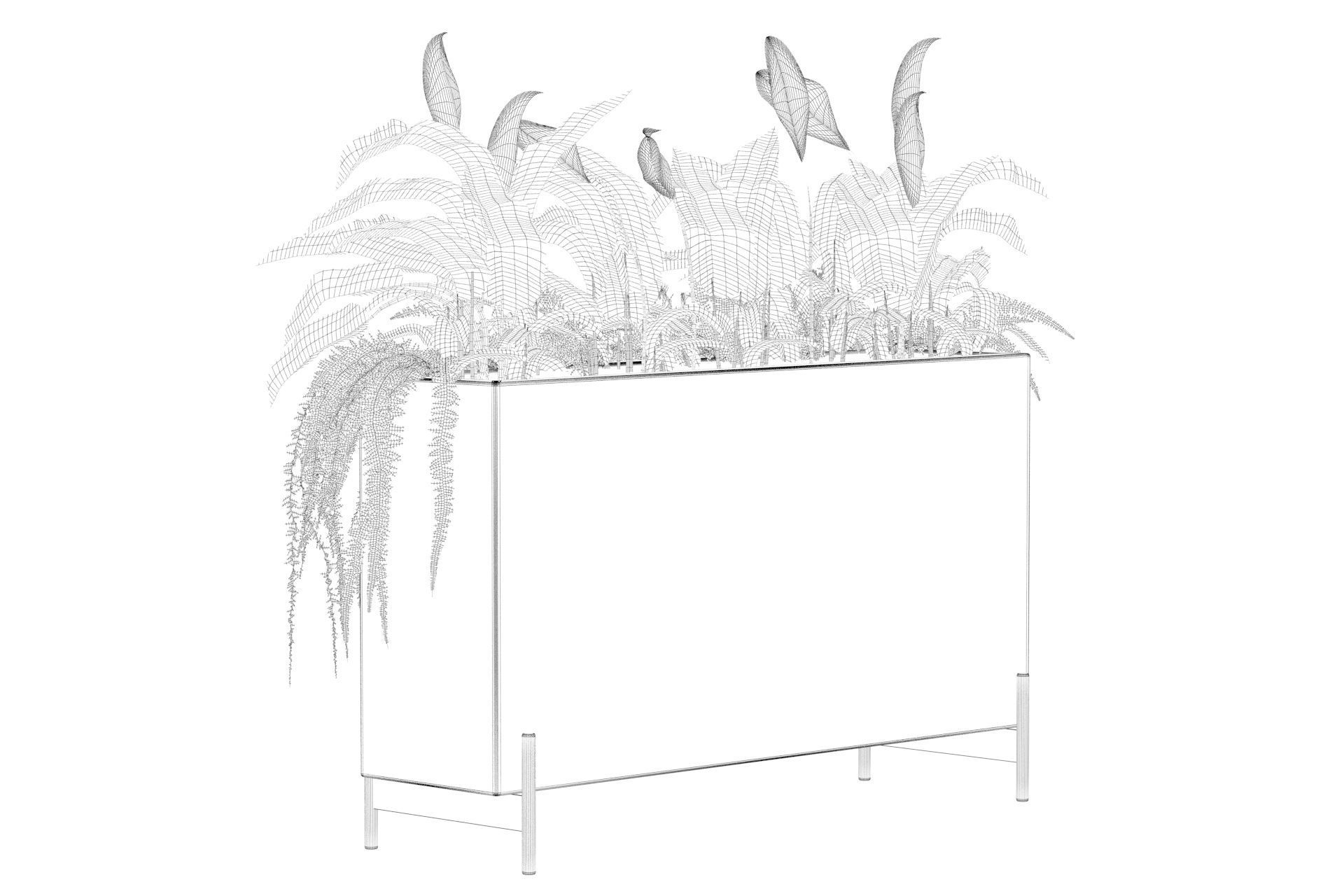 office plants 3D model_53