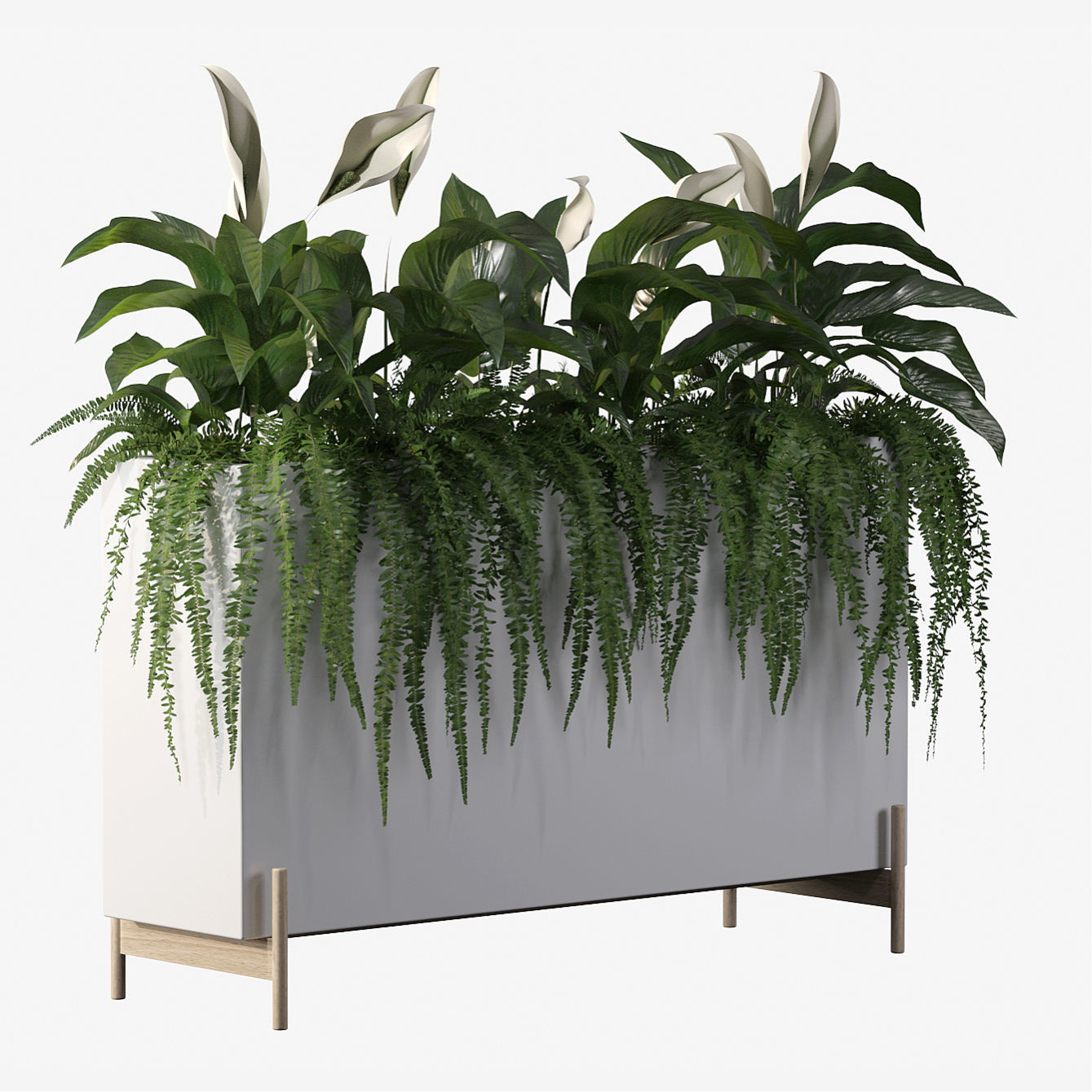 office plants 3D model_17