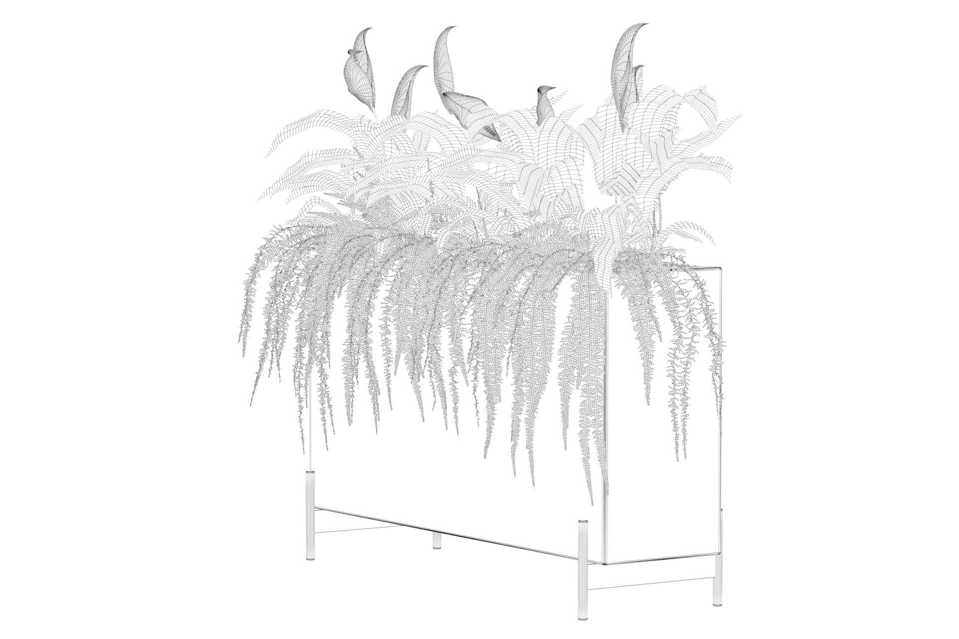 office plants 3D model_7