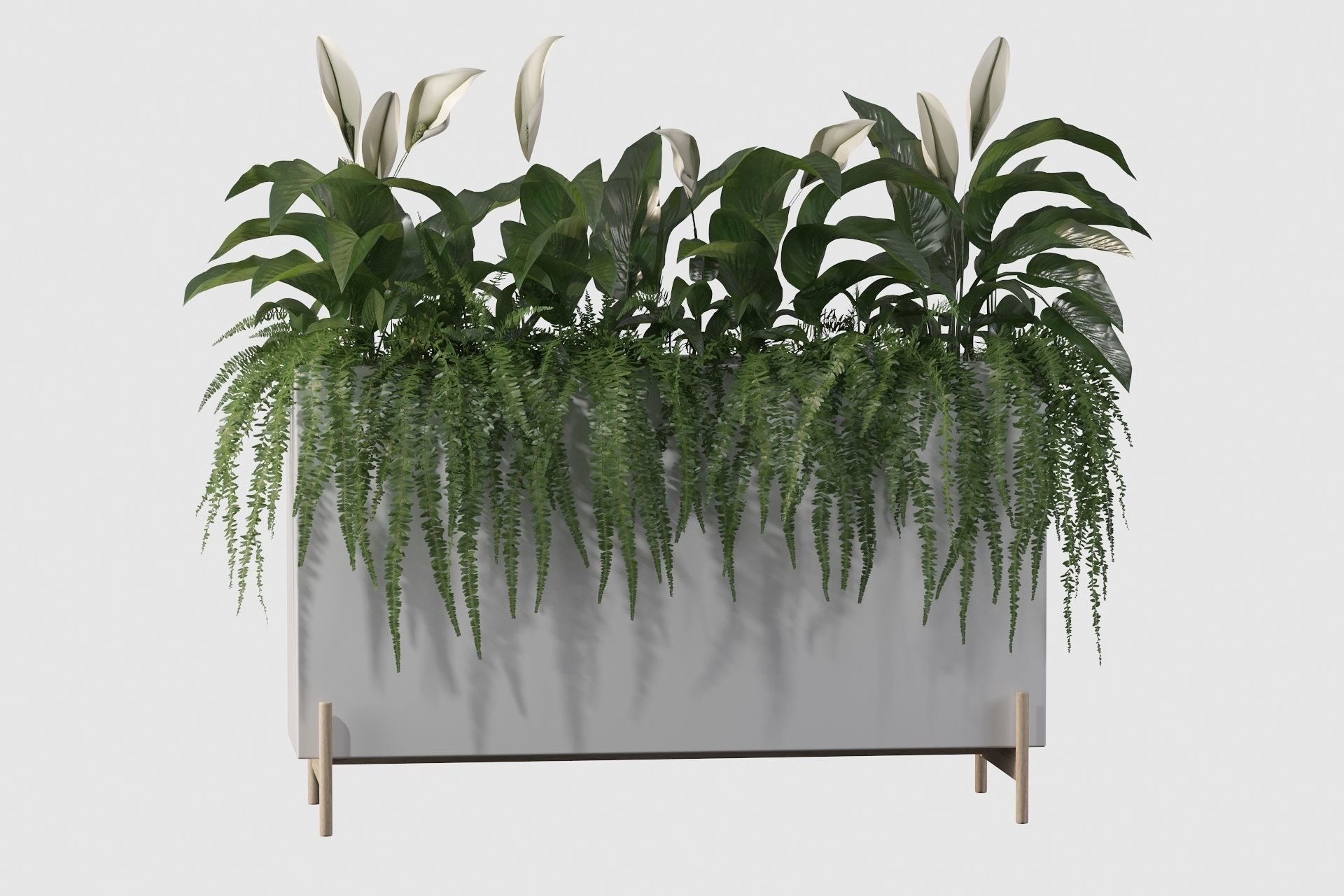 office plants 3D model_21