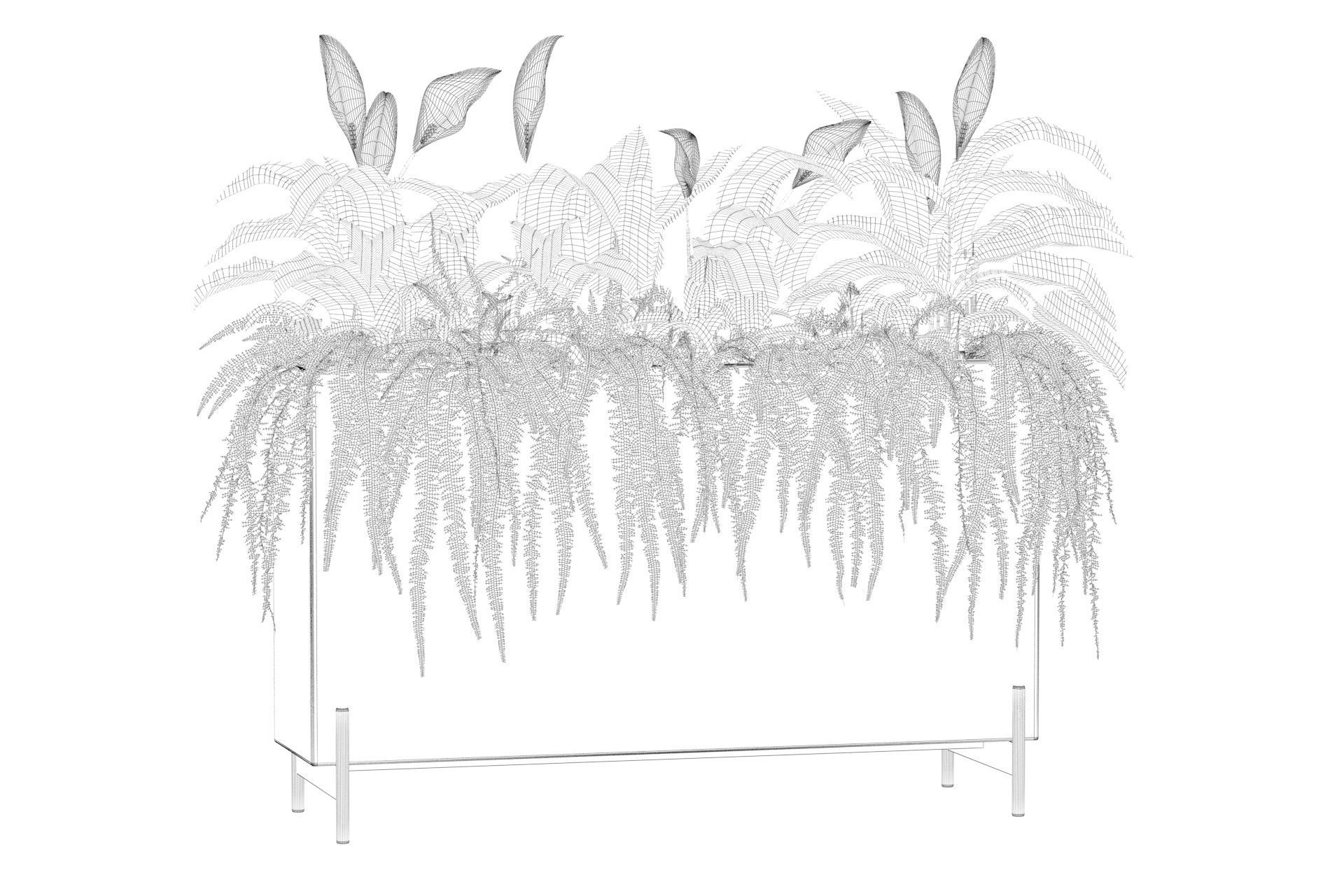 office plants 3D model_55