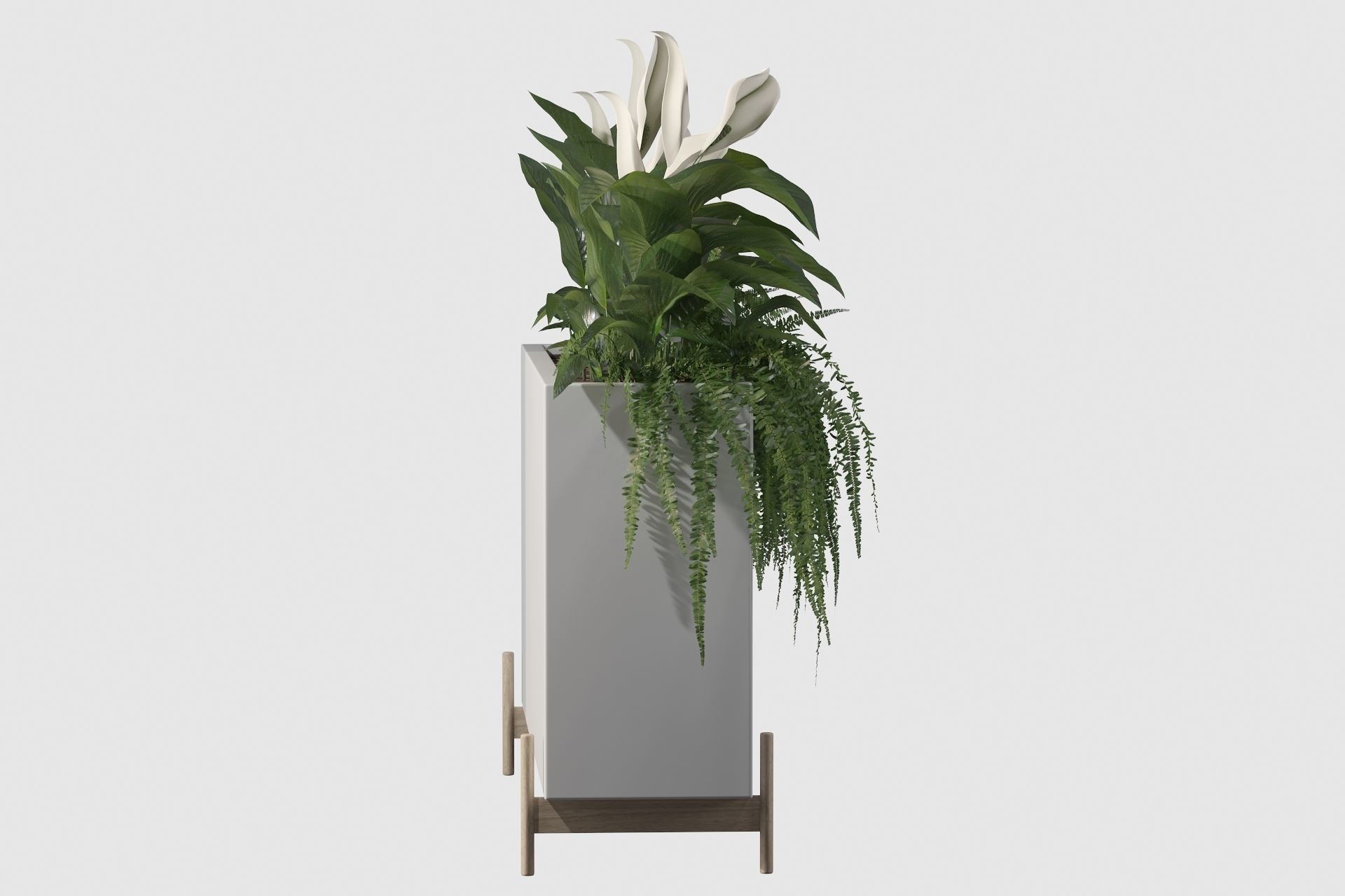 office plants 3D model_39