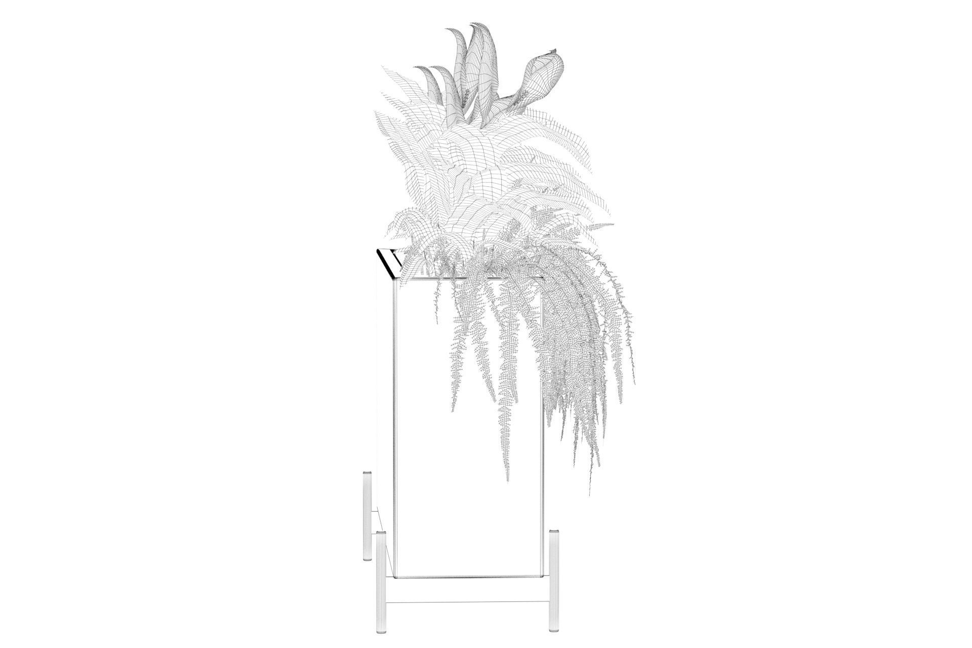 office plants 3D model_52