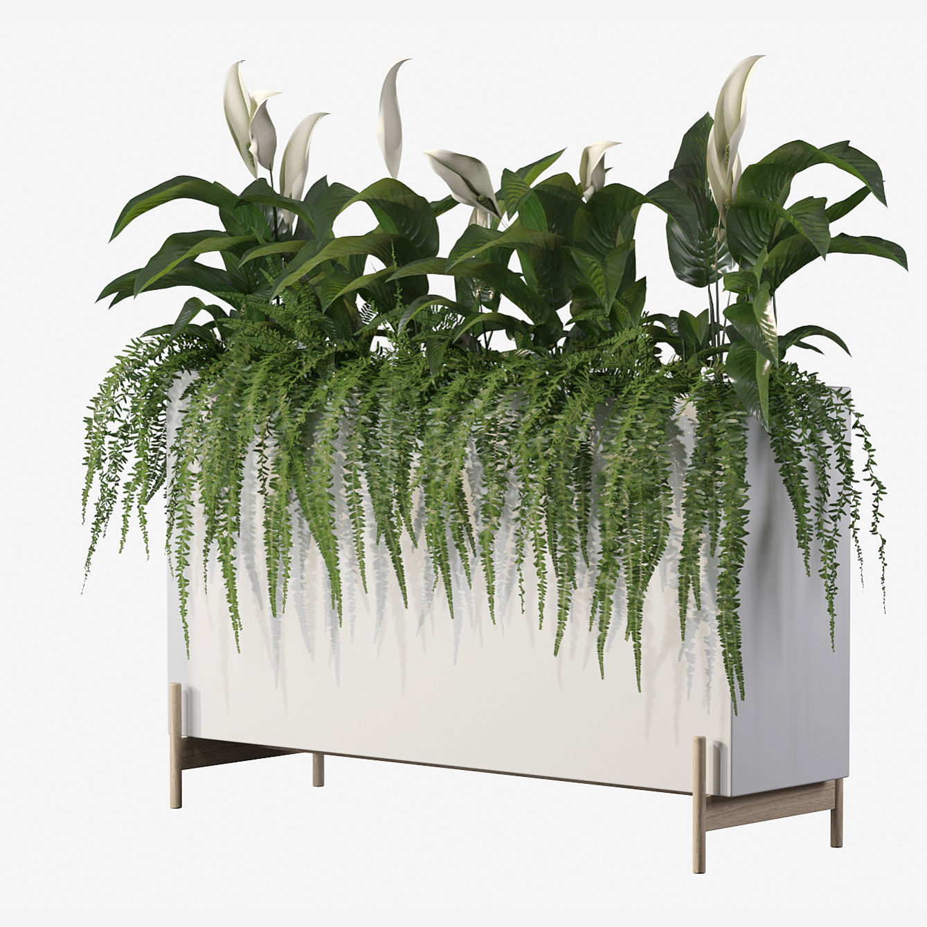 office plants 3D model_2
