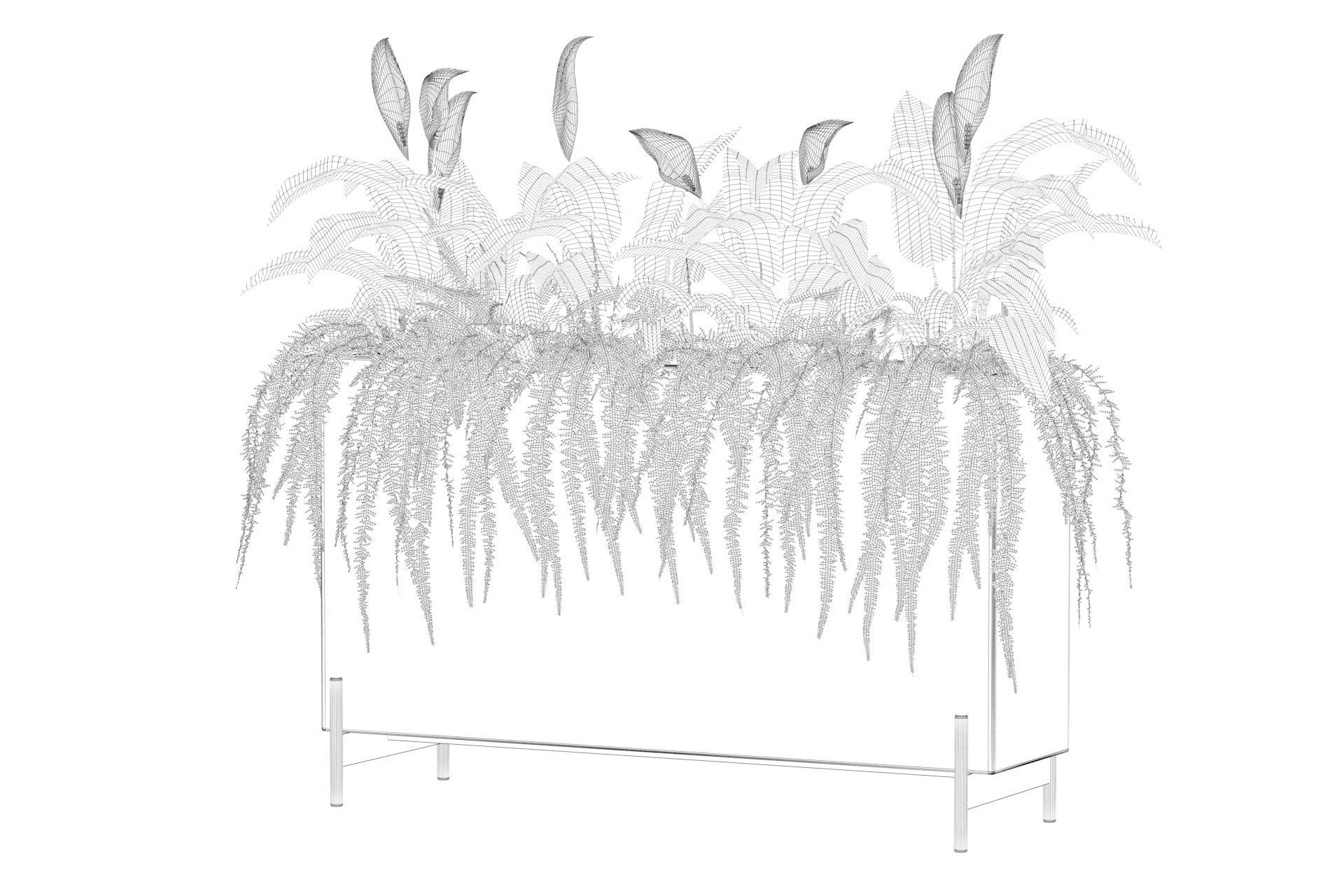 office plants 3D model_13