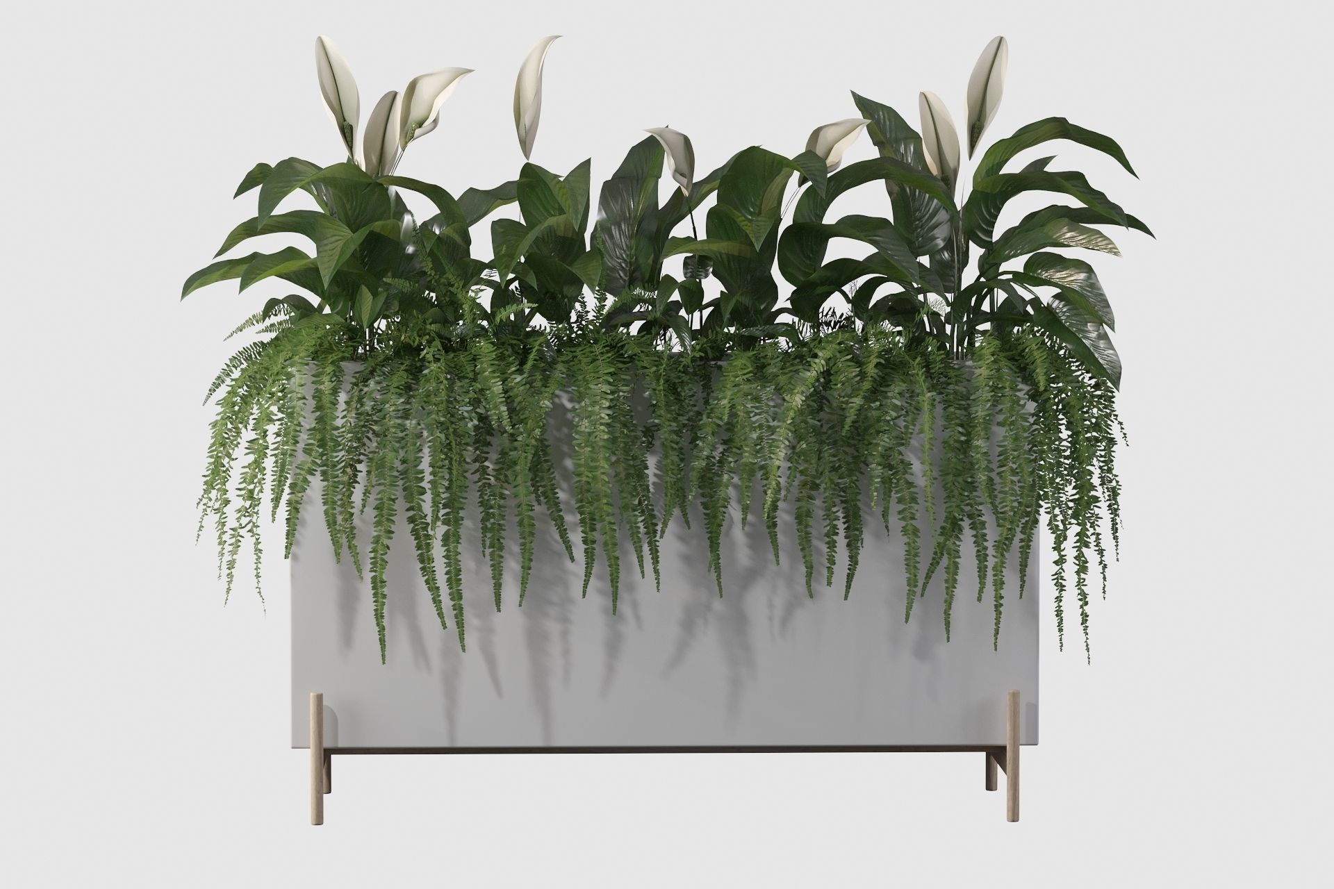 office plants 3D model_14