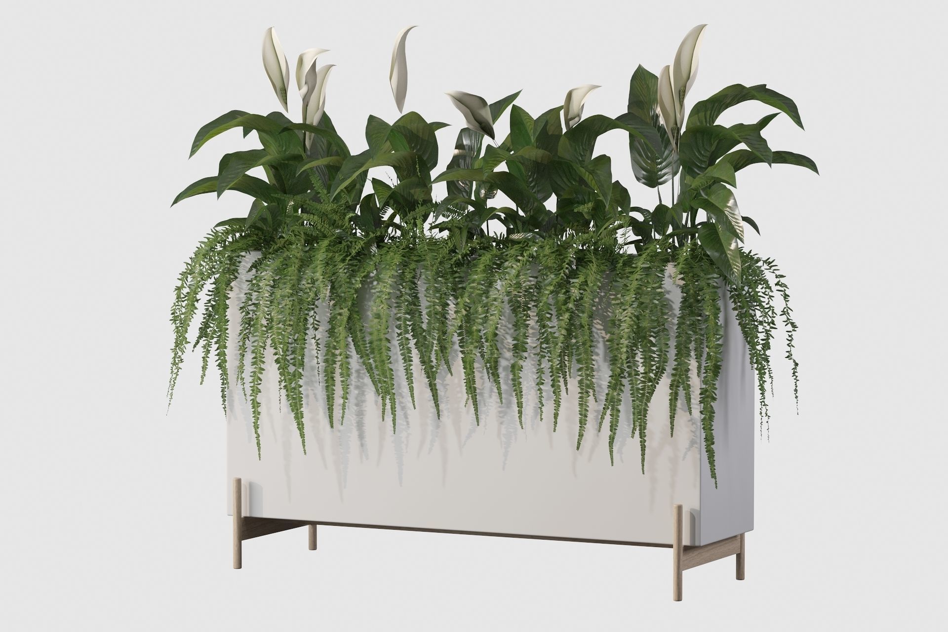 office plants 3D model_37