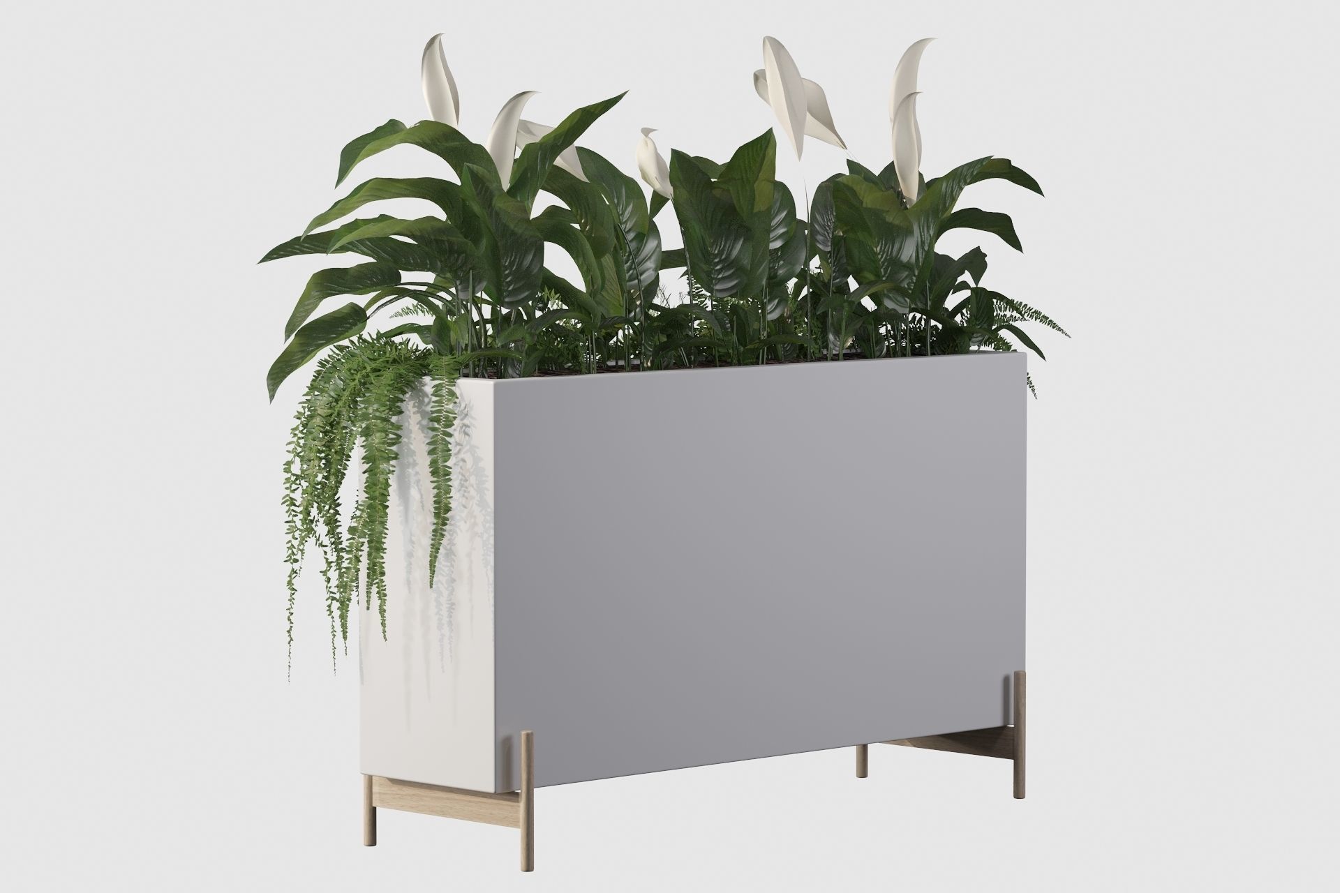 office plants 3D model_26