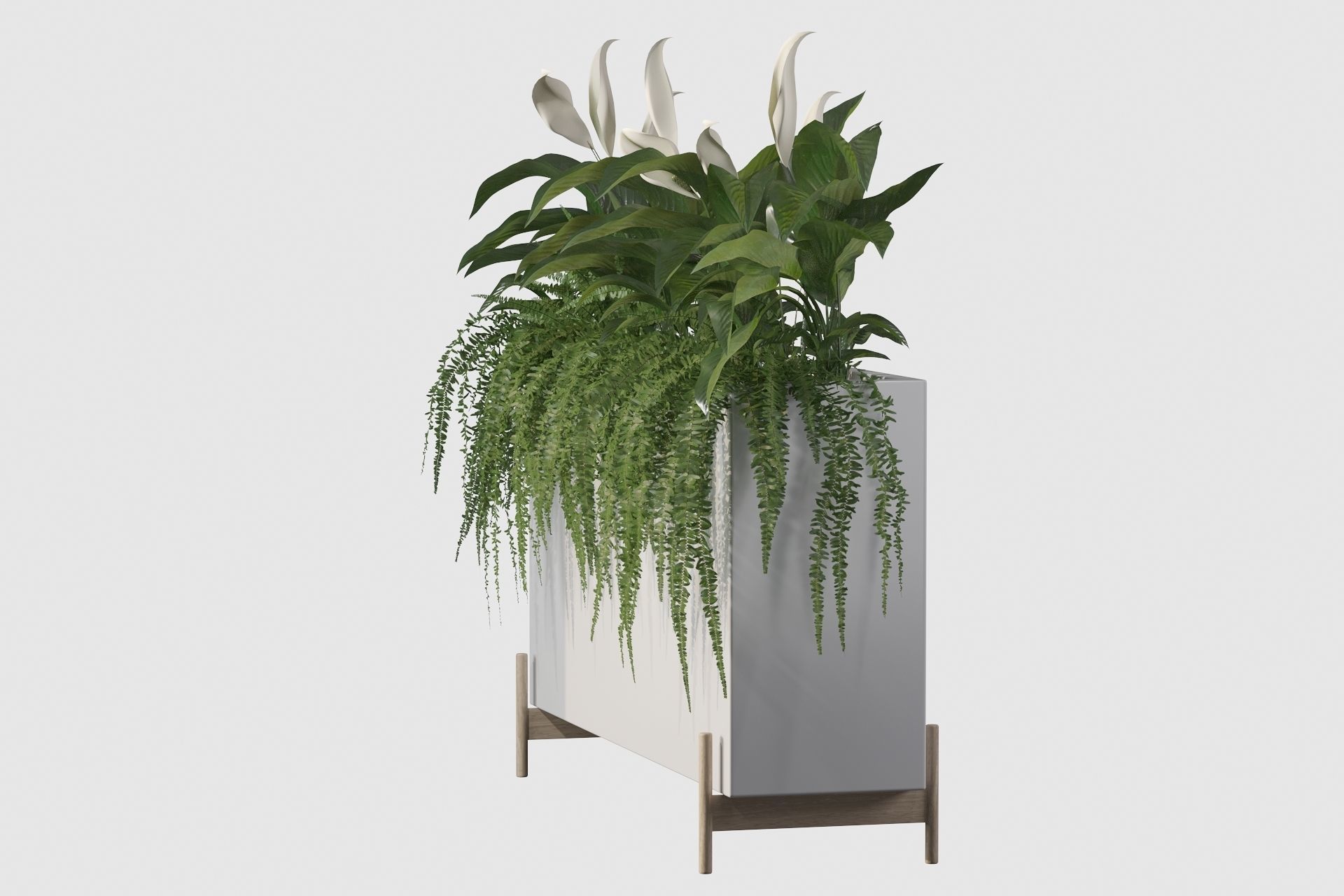 office plants 3D model_32
