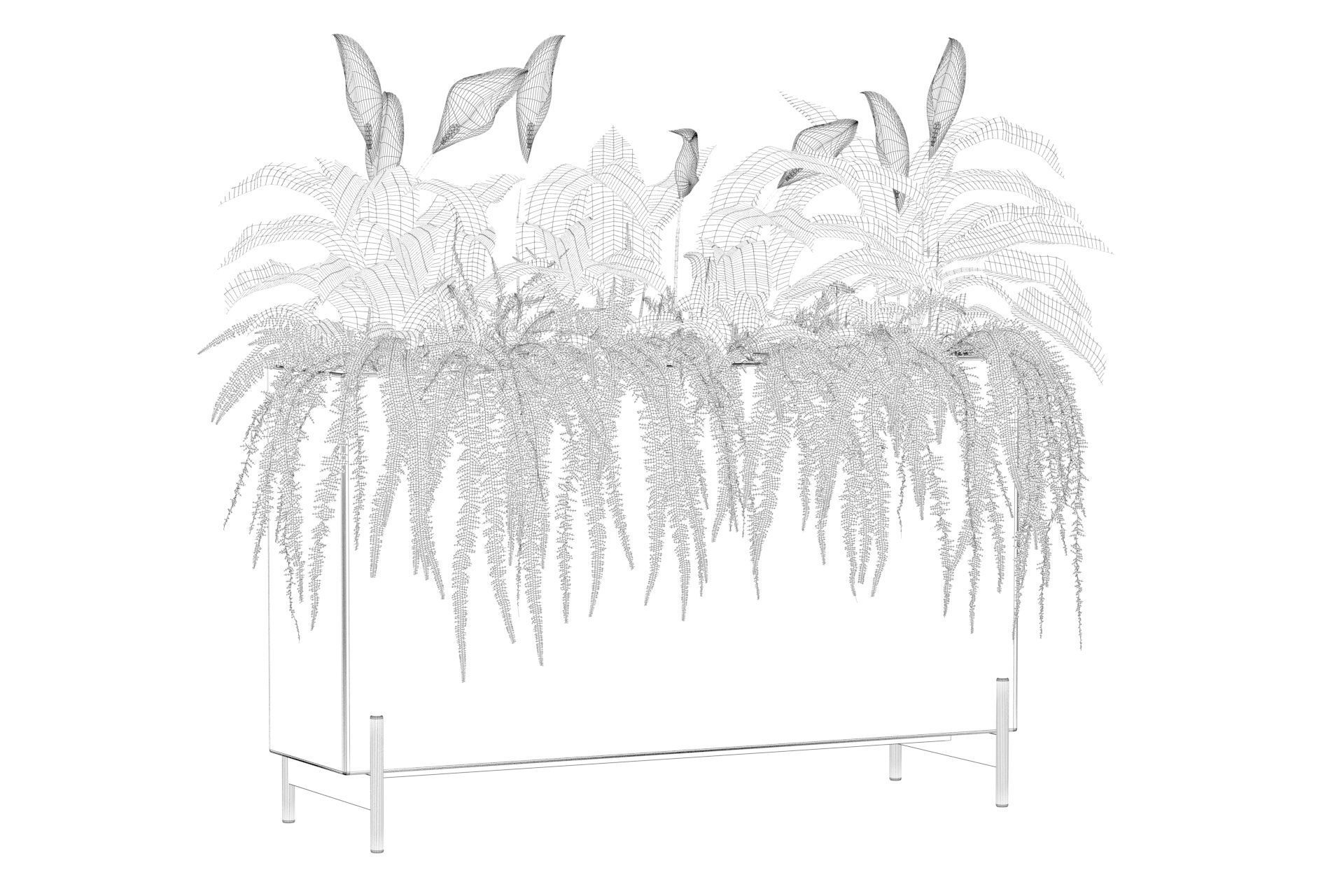 office plants 3D model_45